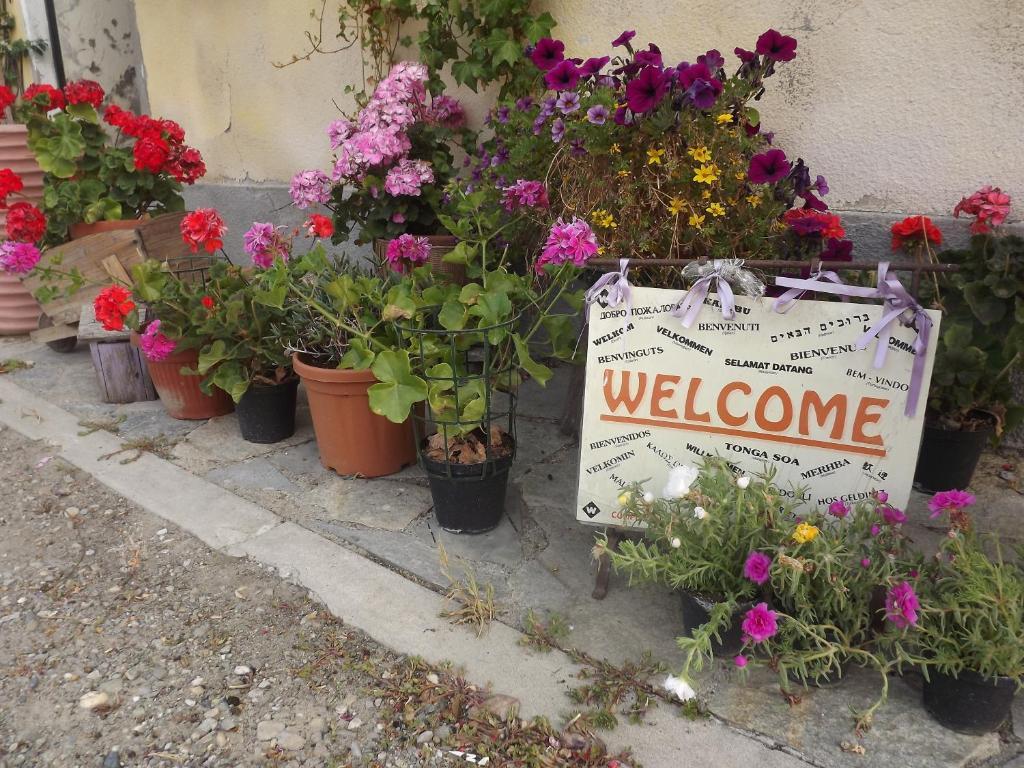 Agriturismo Cascina Nuova Villa Valenza Dış mekan fotoğraf