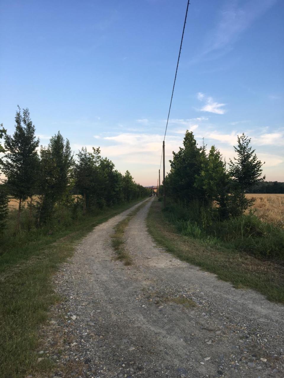 Agriturismo Cascina Nuova Villa Valenza Dış mekan fotoğraf